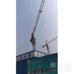 濟南塔機租賃行業(yè)解析 QTZ63塔吊價格與租賃費用指南