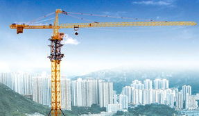 重慶市萬州區(qū)騰迅建筑設備租賃 專業(yè)塔吊租賃服務，助力萬州城市建設